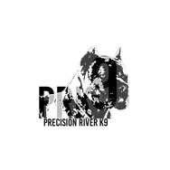 PRK9 Logo 2 Transparent.png